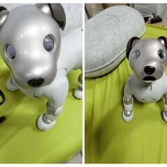 【美品】SONY ソニー AIBO アイボ 自律型 バーチャルペット 人感センサー Wi-Fi対応 ERS-1000 アイボーン付きの画像