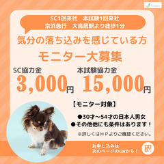 気分の落ち込みを感じている方　大募集♪の画像