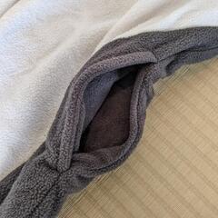 着ぐるみ　２枚セットの画像