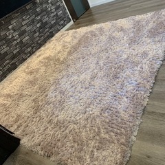 Francfranc✨カステラグ✨カーペット200×200