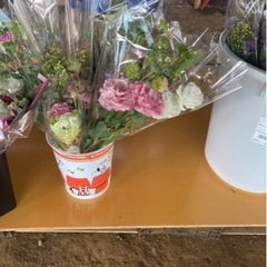 トルコギキョウ等葉物花束1束500円