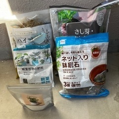 無印良品 植木鉢 3.5号 陶器鉢の画像