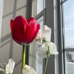 美容・健康・予防医療に興味のある方❣️🙋‍♀️