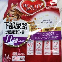 高齢猫用キャットフードの譲渡