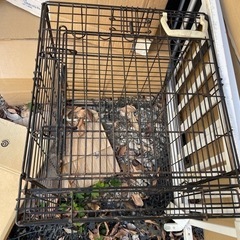 犬猫用　動物　ゲージ　カゴ　ケージ　アニマル　ペット用品の画像