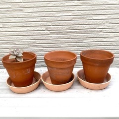多肉植物 土 鉢 お皿 3つセット グラパラリーフの画像