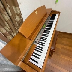 クラビノーバ　CLP170の画像