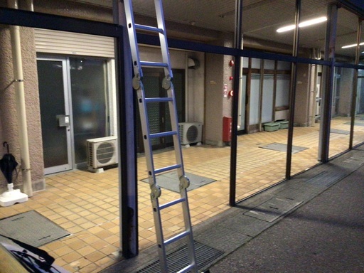 xixi-home 伸縮はしご 耐荷重150KG 2.5m+2.5m 最長5m 両用 スライド式 多機能　自在ハシゴ　脚立　ラダー　超軽量　剪定　屋根　外壁　雨樋　ガラスクリーニング