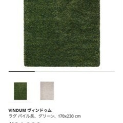 緑　カーペットの画像