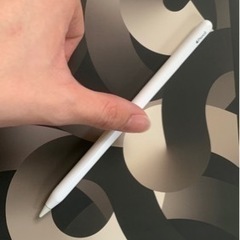 Apple pencil2