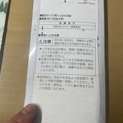 ❗️説明文必続❗️キャプテンスタッグ　パワースチール31㎝ペグセット（限定一品）の画像