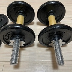 ダンベル、EZバーの画像