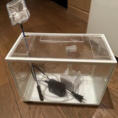 金魚ばちの画像