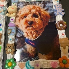 ハンドメイド制作仲間募集　豊岡市