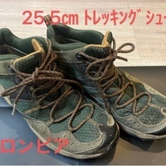 25.5センチ　コロンビア　トレッキングシューズ