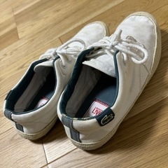 ラコステのスニーカーの画像