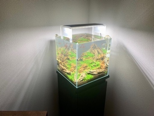 【最終値下げ】ADA 30cmキューブ水槽フルセット　12万円相当