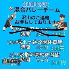 わいわいバレーしてます