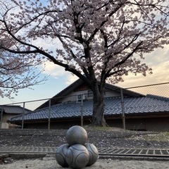 ペタンクメンバー募集 - 広島市
