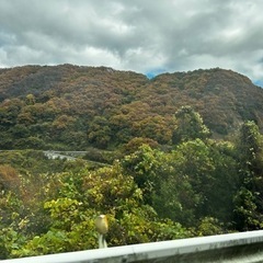 一緒にサイクリングしませんか？鞆の浦やしまなみ海道 - 福山市
