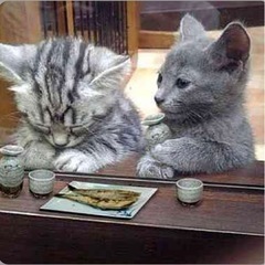 🌷全国から　グルチャ＆オフ会新メンバー募集🌷