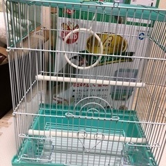 鳥小屋 文鳥 十姉妹 キンカチョウ サイズ 組立のみ 新品