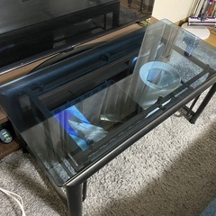 ガラス天板のローテーブルです