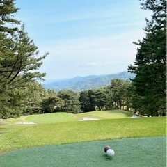 ゴルフ一緒にしませんか？⛳️