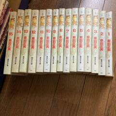聖闘士星矢 文庫版 全15巻セット 完結 車田正美 全巻 全巻セット