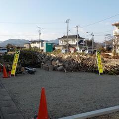 【情報提供】伐採木もらえます