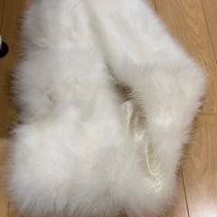 成人式　毛皮