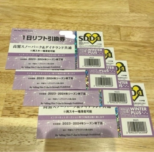 高鷲スノーパーク　ダイナランド　共通リフト券
