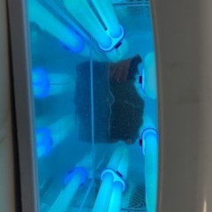 レジン　ライトの画像