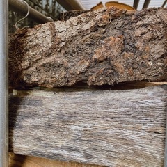 ★特別価格★薪 / 薪ストーブ/キャンプ/焚き火/広葉樹/大容量の画像