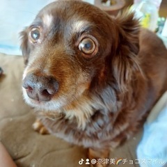夫婦仲2人でやってます😀 - 不用品処分