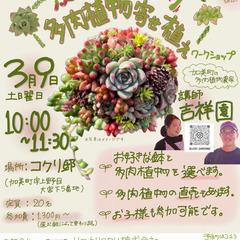 まるで作り物！？ ぷくぷく、モリモリ多肉植物寄せ植えワークショップ