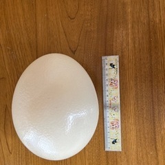 ガチョウの卵　　1個の画像
