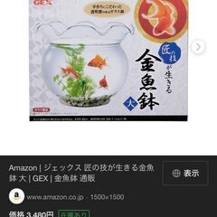 金魚鉢と金魚２匹かメダカ