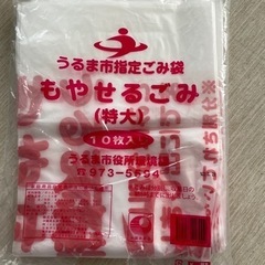 もやせるごみ袋（特大）