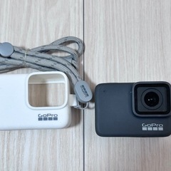 go pro 7 silver (シリコンケース付き)