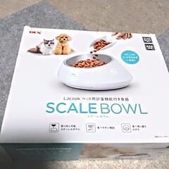 電池式　ペットの餌入れ　新品の画像