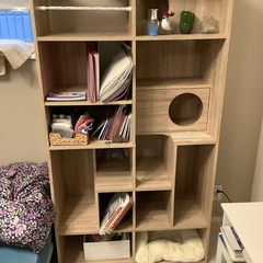 キャットウォーク棚の画像