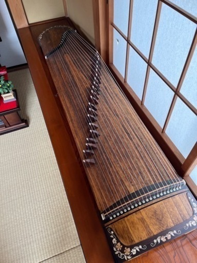 琴