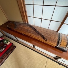 琴