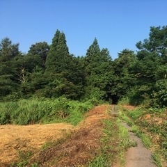 所有されている土地、建物の価値をご存知ですか？　無料でお調べします。