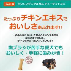 お取り引き中❗️【🐕歯みがきガム】ハーツ チューデントミニ あげます❗️の画像