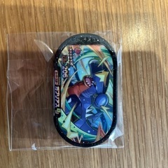 メザスタ 譲　GS4 ガブリアス　希望 GS4 アルセウス　ミライドン