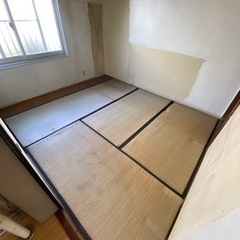 畳 無料 お好きな枚数差し上げます！2月末までの画像