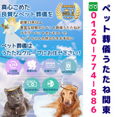 船橋市・習志野市のペット火葬・葬儀サービス - 14年の経験と24時間年中無休で訪問サポート - 船橋市