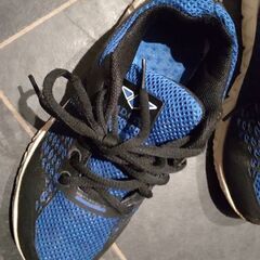 小学生運動靴 22.5cmの画像